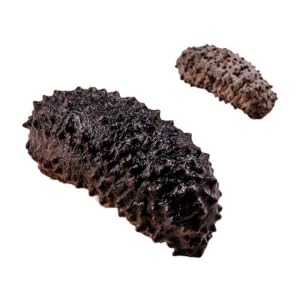 Royal Seafood USA Premium Natural Dried Mexican Wild Caught Sea Cucumber