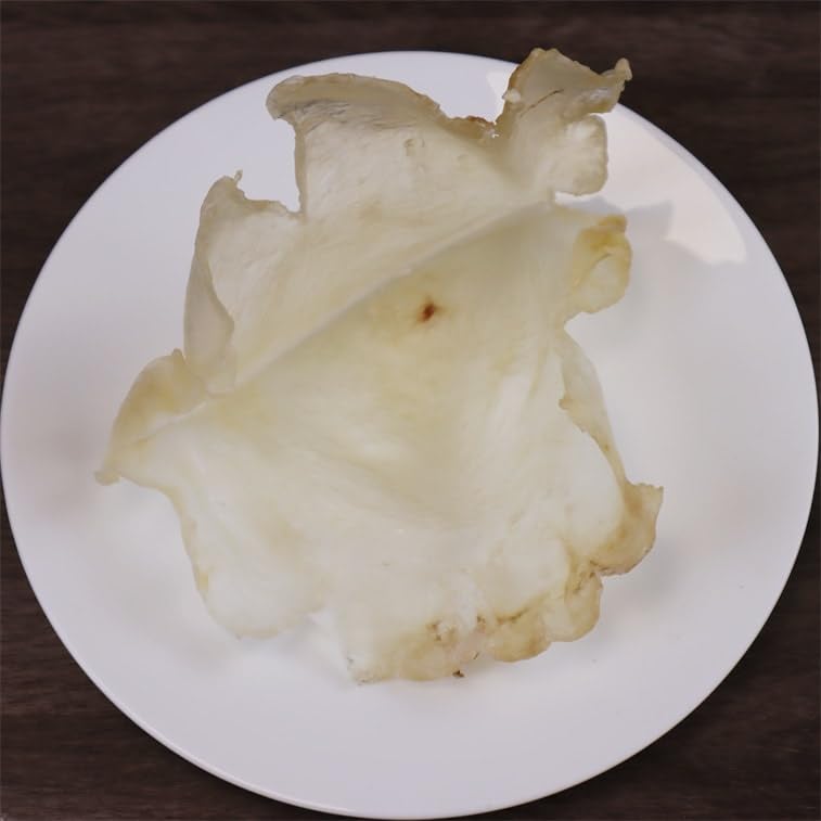 Royal Seafood USA Premium Dried South American wild caught fish maw Big mac size(3-4Pcs) 1lb Dried fish maw, Dried Seafood, Dired Goods