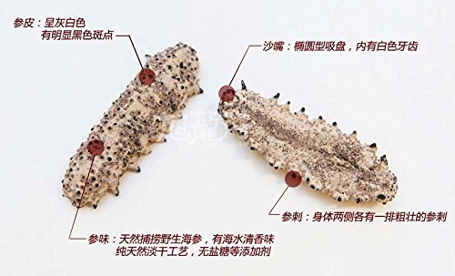 XLSEAFOOD Sun Dried Wild Caught Mexico Sea Cucumber AAA Grade Size Large 454g