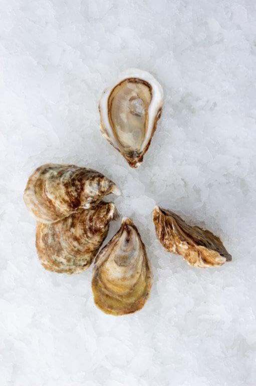 Savage Harbor Prince Edward Island Wild Oysters, In Shell, 100 Count – Fresh, Medium Cup, Blonde Shell, Sharp Brine, Crunchy Meat, Sweet Finish