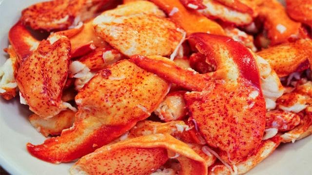 Maine Lobster CNK Meat | Fully Cooked Ready to Eat Claw and Knuckle Meat | Sustainably Wild-Caught American Lobster | Hand Picked Fresh Flash Frozen and Sealed (1 Pound