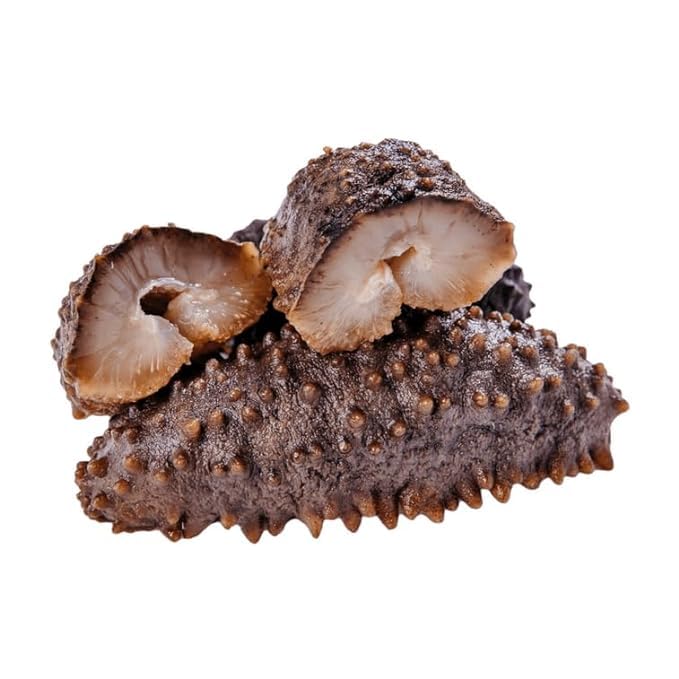 Royal Seafood USA Premium Natural Dried Mexican Wild Caught Sea Cucumber