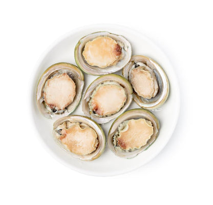 Premium All Natural Australian Shell-On Greenlip Frozen Abalone, SHIPPED EXPRESS MAIL in Insulated Cooler & Ice Packs for Guaranteed