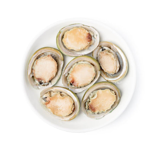 Premium All Natural Australian Shell-On Greenlip Frozen Abalone, SHIPPED EXPRESS MAIL in Insulated Cooler & Ice Packs for Guaranteed