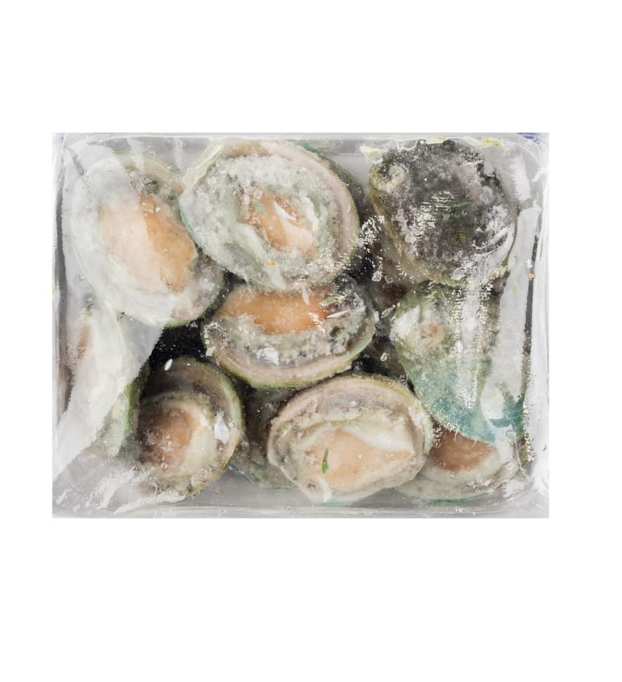 Premium All Natural Australian Shell-On Greenlip Frozen Abalone, SHIPPED EXPRESS MAIL in Insulated Cooler & Ice Packs for Guaranteed