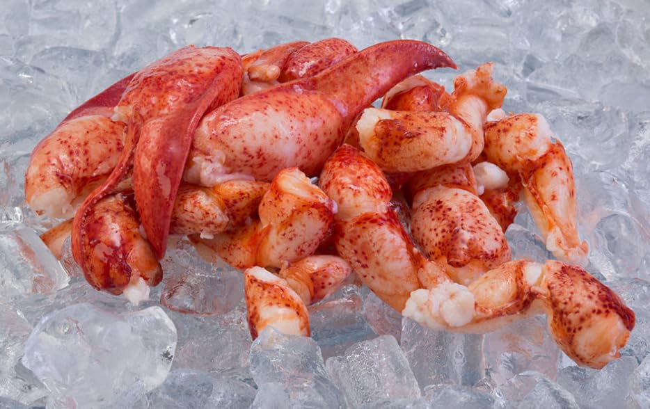 Maine Lobster CNK Meat | Fully Cooked Ready to Eat Claw and Knuckle Meat | Sustainably Wild-Caught American Lobster | Hand Picked Fresh Flash Frozen and Sealed (1 Pound