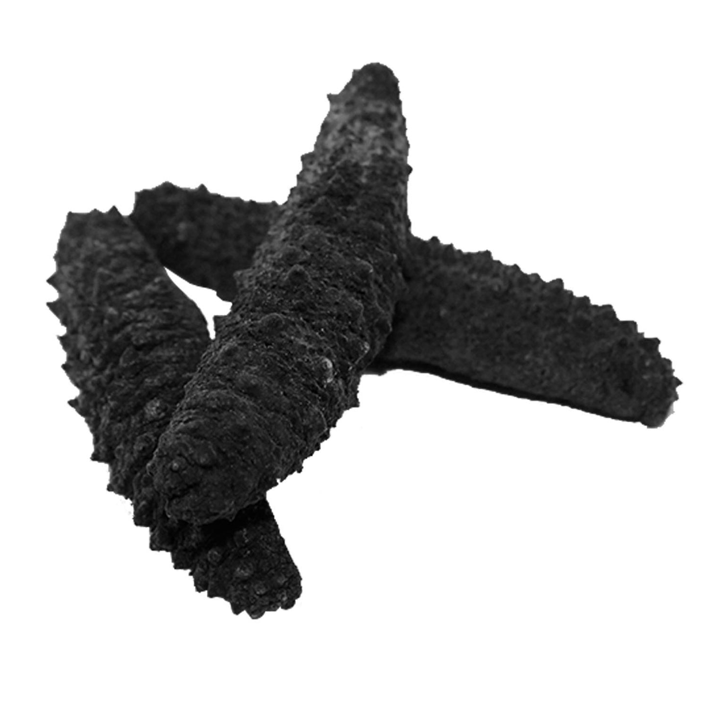 Premium Quality Dried Atlantic Sea Cucumber for Nutritional and Health Food