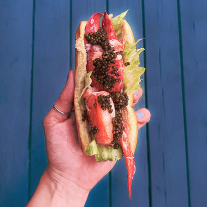 Maine Lobster CNK Meat | Fully Cooked Ready to Eat Claw and Knuckle Meat | Sustainably Wild-Caught American Lobster | Hand Picked Fresh Flash Frozen and Sealed (1 Pound