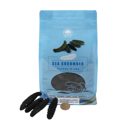 Premium Quality Dried Atlantic Sea Cucumber for Nutritional and Health Food