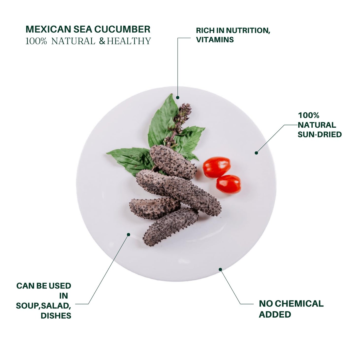 Royal Seafood USA Premium Natural Dried Mexican Wild Caught Sea Cucumber