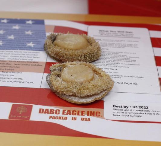 DABC OAK LAND Dried Abalone 1LB=453g/Box Baoyu from South Africa,Dried Seafood Jerky & Dried Meats 20~25pcs/LB Large