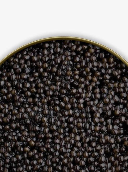 Beluga Caviar Gift Set – SKAZKA CAVIAR — Premium Beluga, caviar with Pearl Spoon, Blinis, and Crème – Gourmet Food Gift Set for Special Occasions, Fast Fresh Shipping (Can Size - 16oz, "KING GRADE" Beluga Sturgeon Caviar)