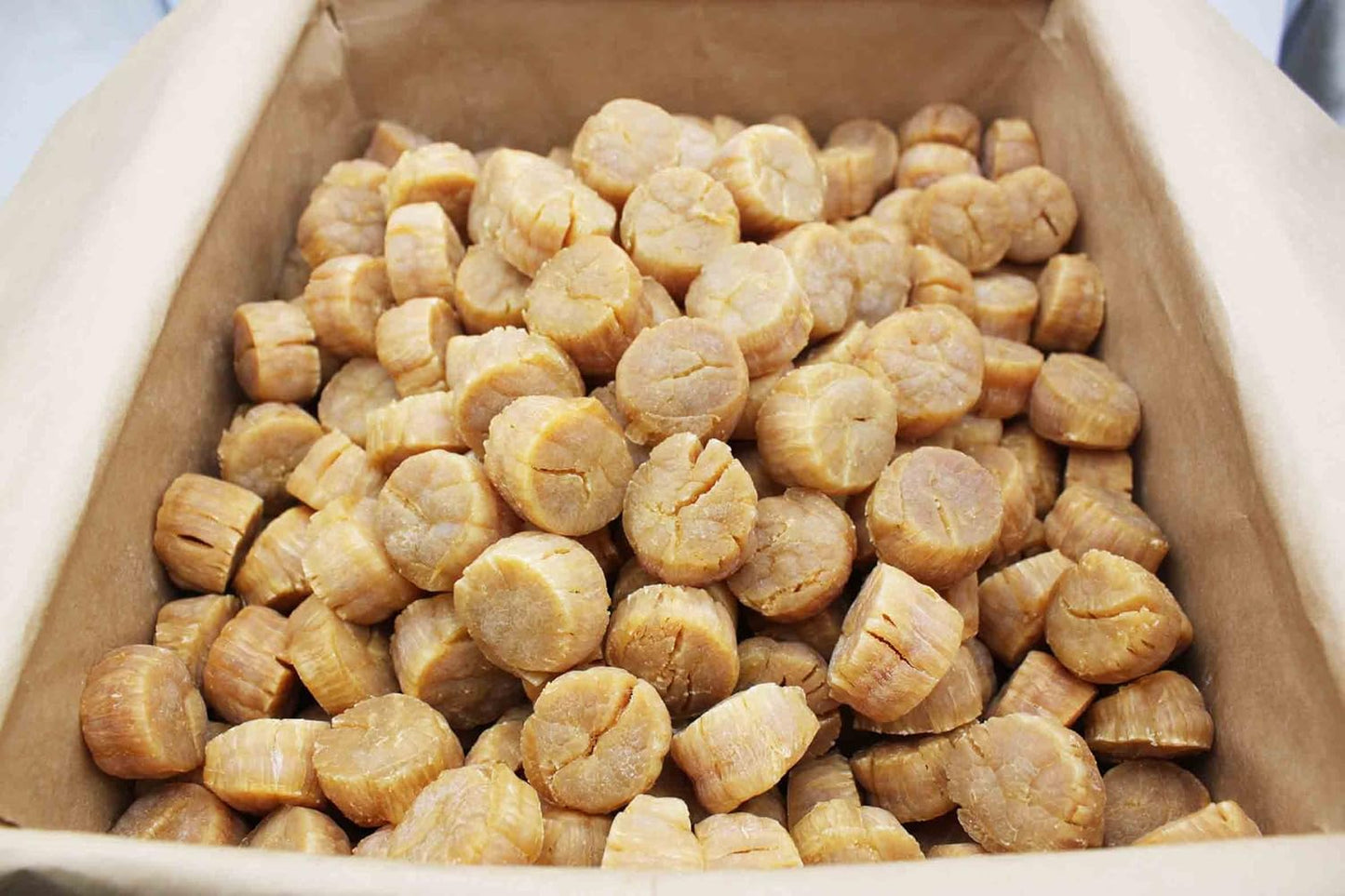 Japanese Dried Scallops Large Size Dried Seafood Conpoy Yuan Bei Yuanbe