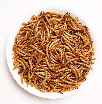 Amzey Appetizing Mealworms 22lbs-100% Non-GMO Dried Mealworms - High-Protein Meal Worm Treats -Perfect for Your Chickens,Ducks,Wild Birds,Turtles,Hamsters,Fish
