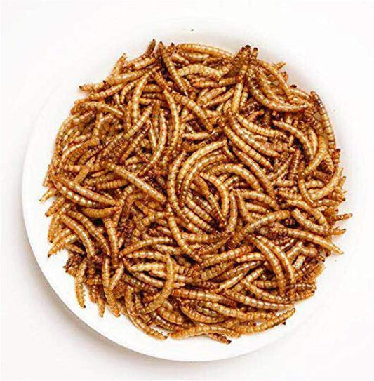 Amzey Appetizing Mealworms 22lbs-100% Non-GMO Dried Mealworms - High-Protein Meal Worm Treats -Perfect for Your Chickens,Ducks,Wild Birds,Turtles,Hamsters,Fish