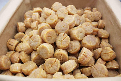 Japanese Dried Scallops Large Size Dried Seafood Conpoy Yuan Bei Yuanbe