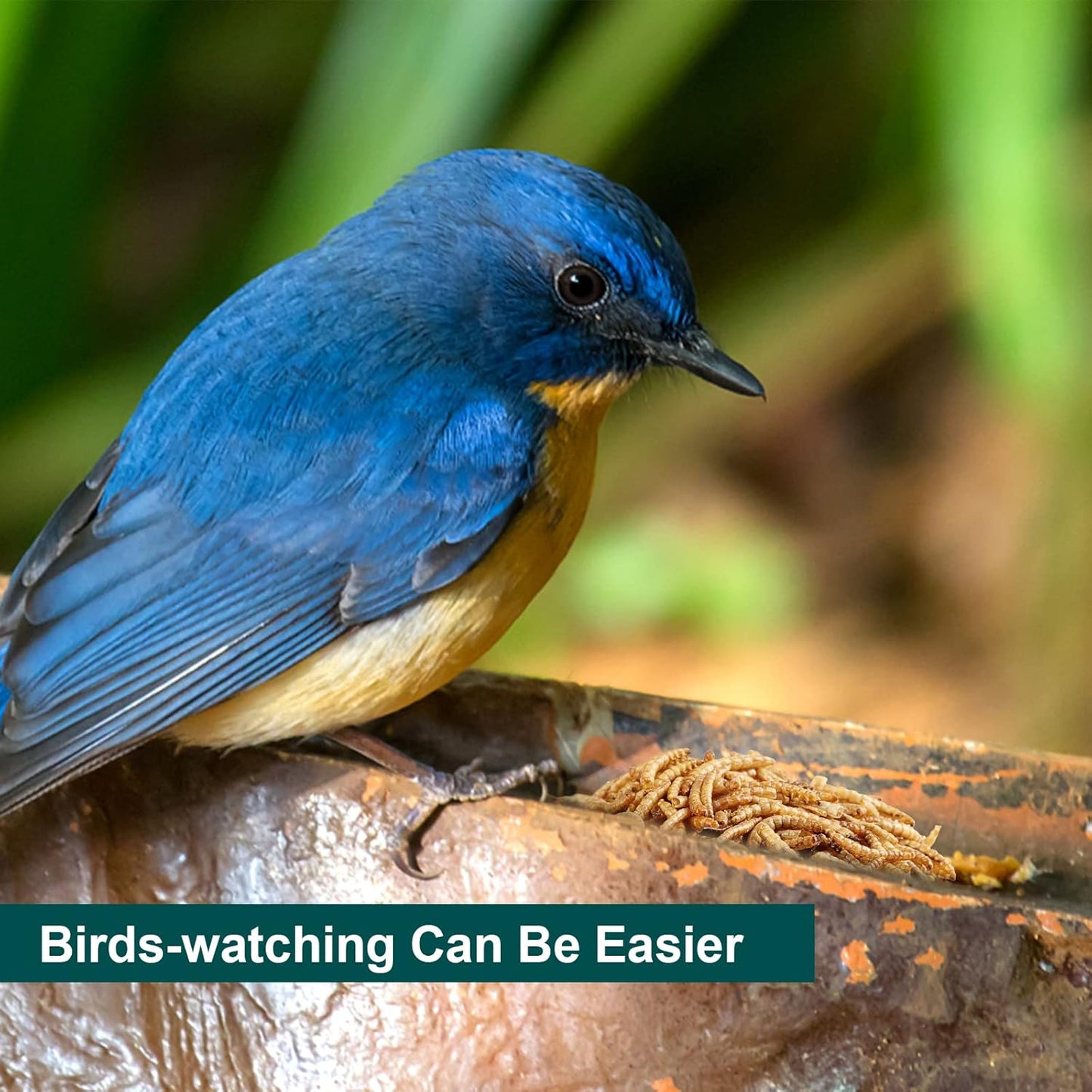 22 LBS Non-GMO Dried Mealworms for Wild Bird Chicken Fish,High-Protein,Large Meal Worms.