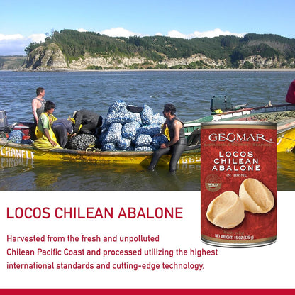 GEOMAR Locos (Chilean Abalone) in Brine - Hand Caught by Divers - Nutritious Seafood Delicacy - High in Protein and Ready-to-Eat - 3 Pieces per Can (15 oz) 6 Pack