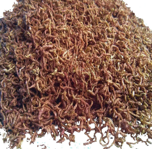 Aquatic Foods Inc. Freeze Dried Bloodworms, Fresh Grade A Floating Bloodworms for All Tropical Fish, Bettas, Discus, Cichlids, Turtles, Carnivore Carnivorous Plants - 5oz Bag