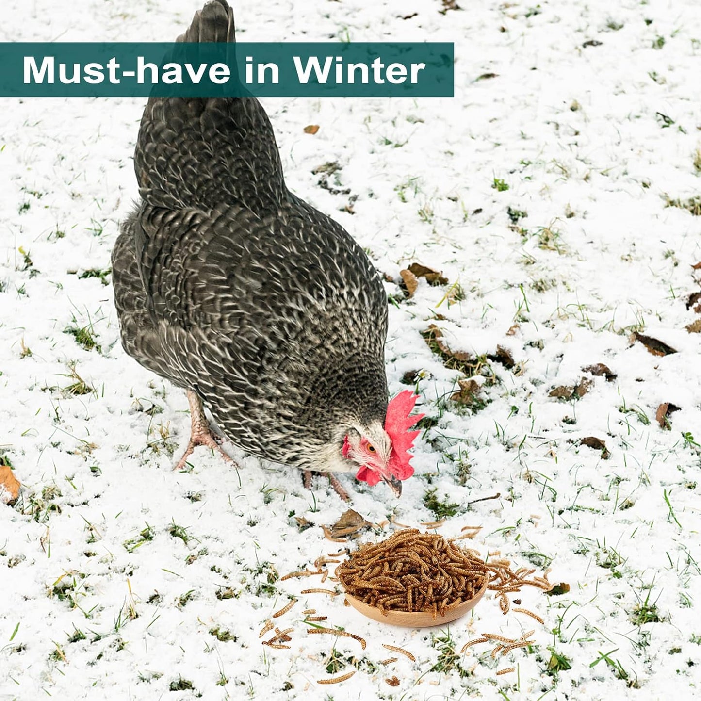 22 LBS Non-GMO Dried Mealworms for Wild Bird Chicken Fish,High-Protein,Large Meal Worms.