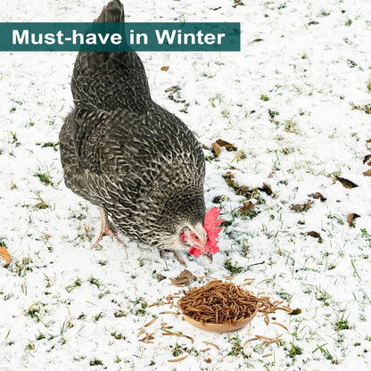 22 LBS Non-GMO Dried Mealworms for Wild Bird Chicken Fish,High-Protein,Large Meal Worms.