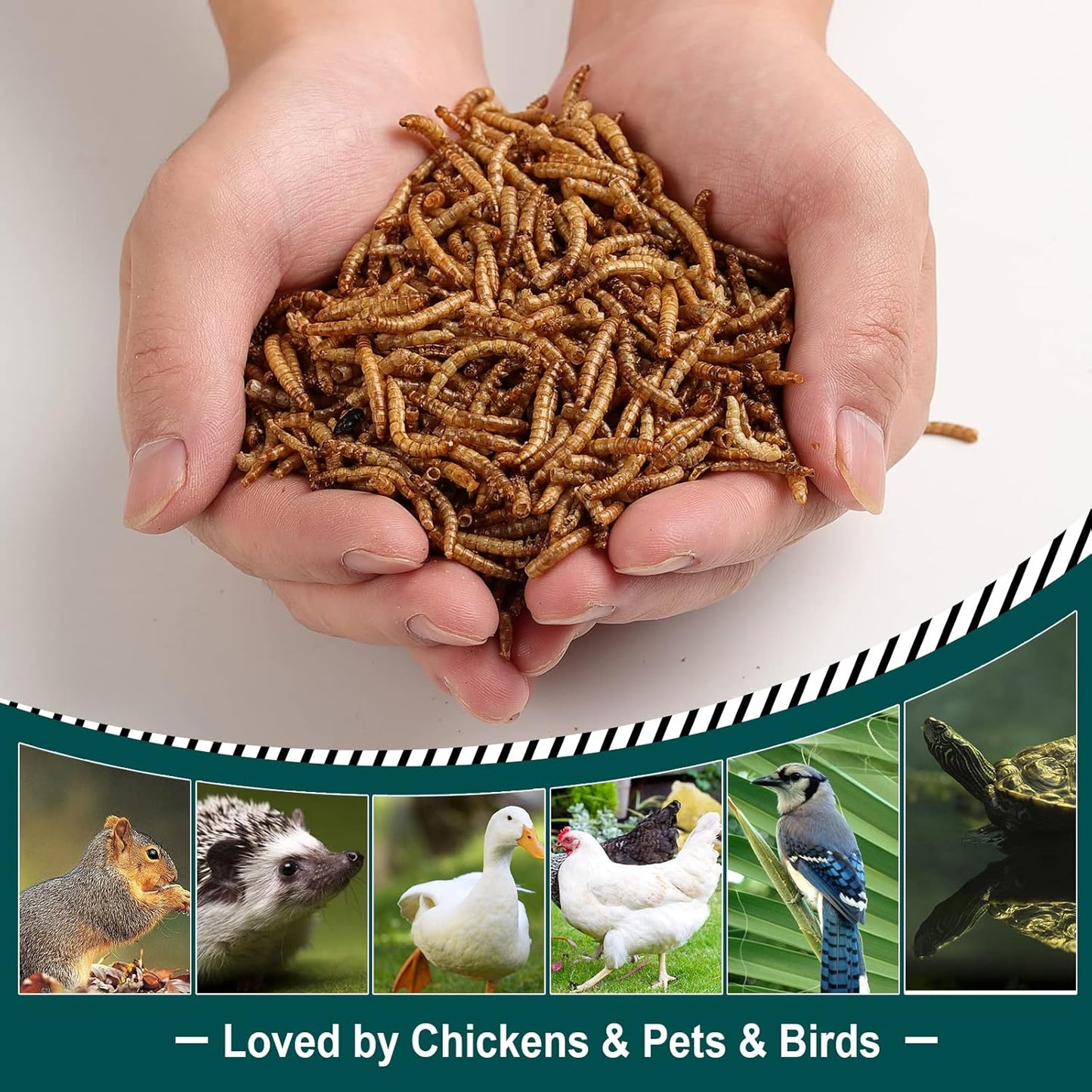 22 LBS Non-GMO Dried Mealworms for Wild Bird Chicken Fish,High-Protein,Large Meal Worms.