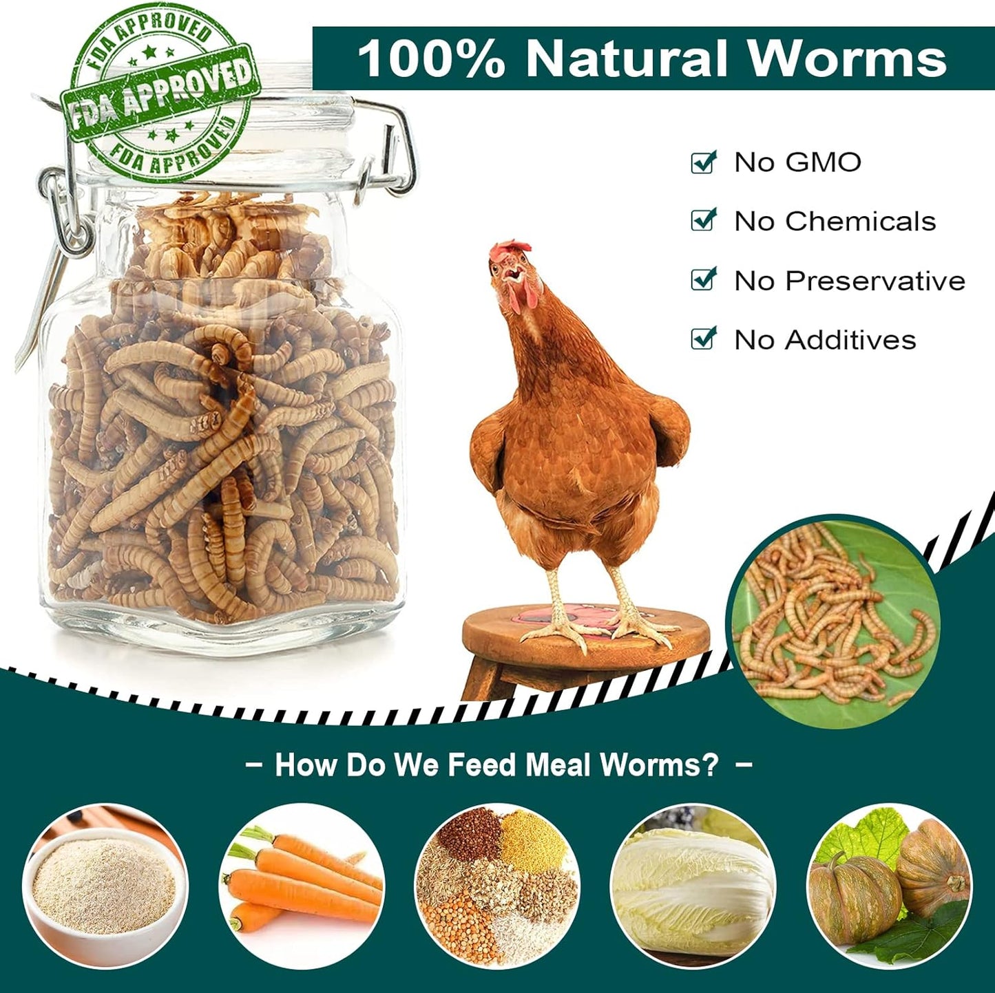 22 LBS Non-GMO Dried Mealworms for Wild Bird Chicken Fish,High-Protein,Large Meal Worms.