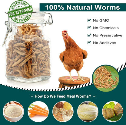 22 LBS Non-GMO Dried Mealworms for Wild Bird Chicken Fish,High-Protein,Large Meal Worms.